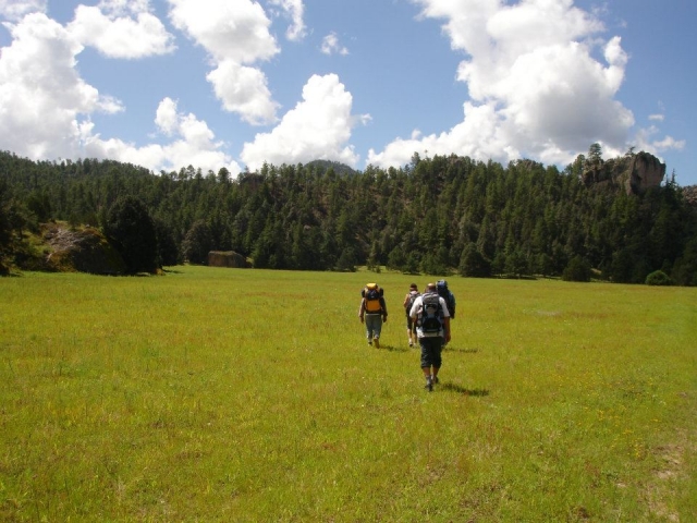 Grupos de caminata